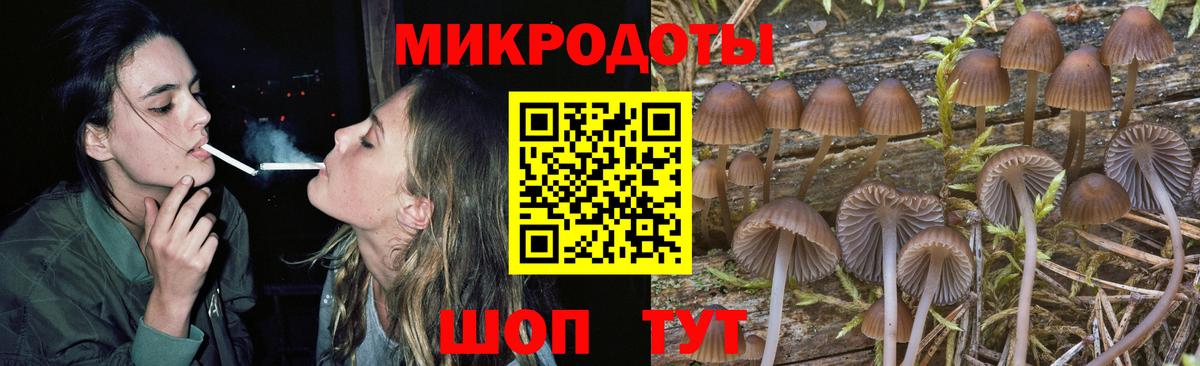 Псилоцибиновые грибы мухоморы Южно-Сахалинск